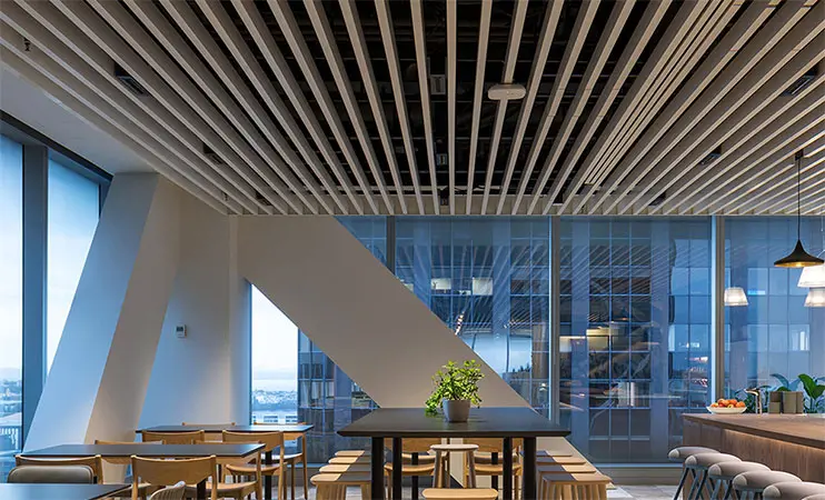 suspended drop ceiling